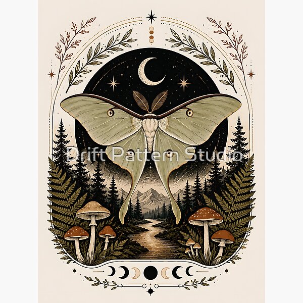 Luna Moth Moonlit Forest Illustration design by Drift Pattern Studio